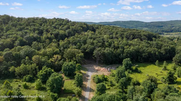 a view of a lush green forest with trees in the background