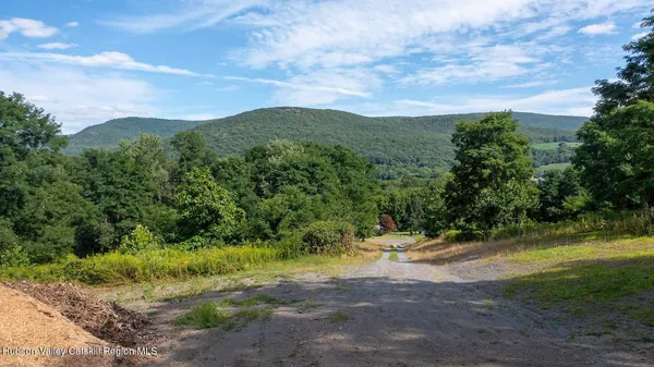a view of a big yard with lots of green space