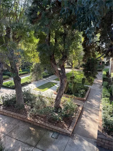 a view of a yard with plants