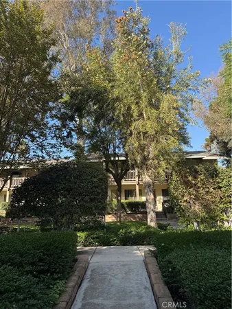 a view of park with large trees