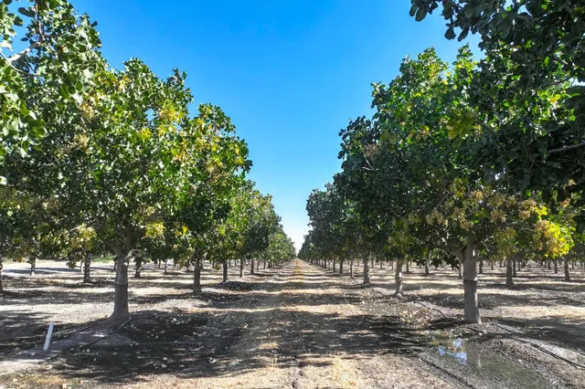 $2,511,690 | 0 West Huntsman Avenue, San Joaquin, CA 93660