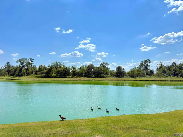 $262,400 | 13896 Ponderosa Drive, Denham Springs, LA 70726