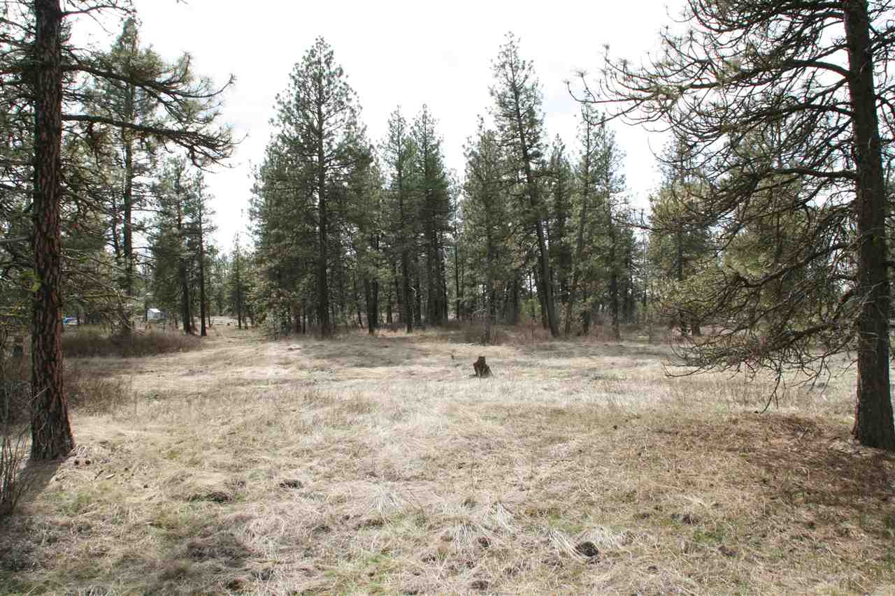 Nsa North Old Trails Road Spokane, WA 99224 - Photo 10 of 16 Gallery Image 10