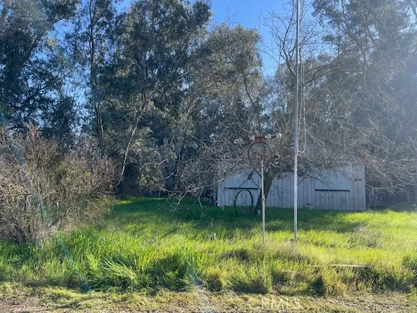 a view of a backyard with large trees