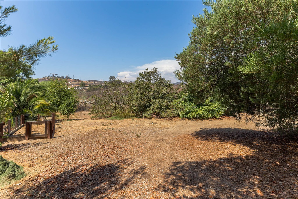 3410 Adams Run Encinitas, CA 92024 - Photo 25 of 25 Raised garden, avocado and citrus grove