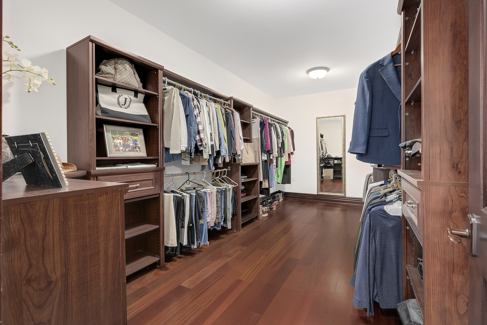 8511 Kearney Road Downers Grove, IL 60516 - Photo 44 of 71 a view of walk in closet with clothes and shoes