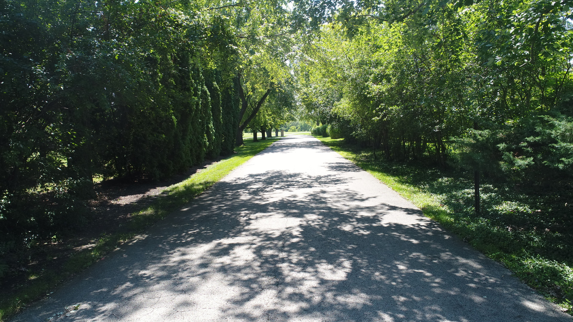 8511 Kearney Road Downers Grove, IL 60516 - Photo 65 of 71 a view of a yard with plants and trees