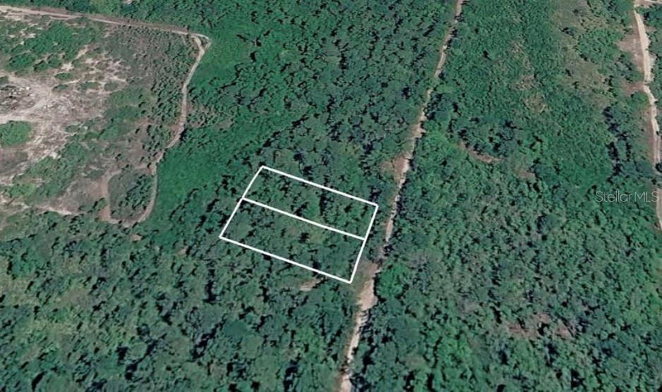 231 West Edgeline Road Satsuma, FL 32189 - Photo 6 of 6 Gallery Image 6