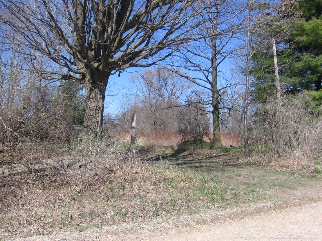 Vl Townsend Applegate, MI 48401 - Photo 13 of 31