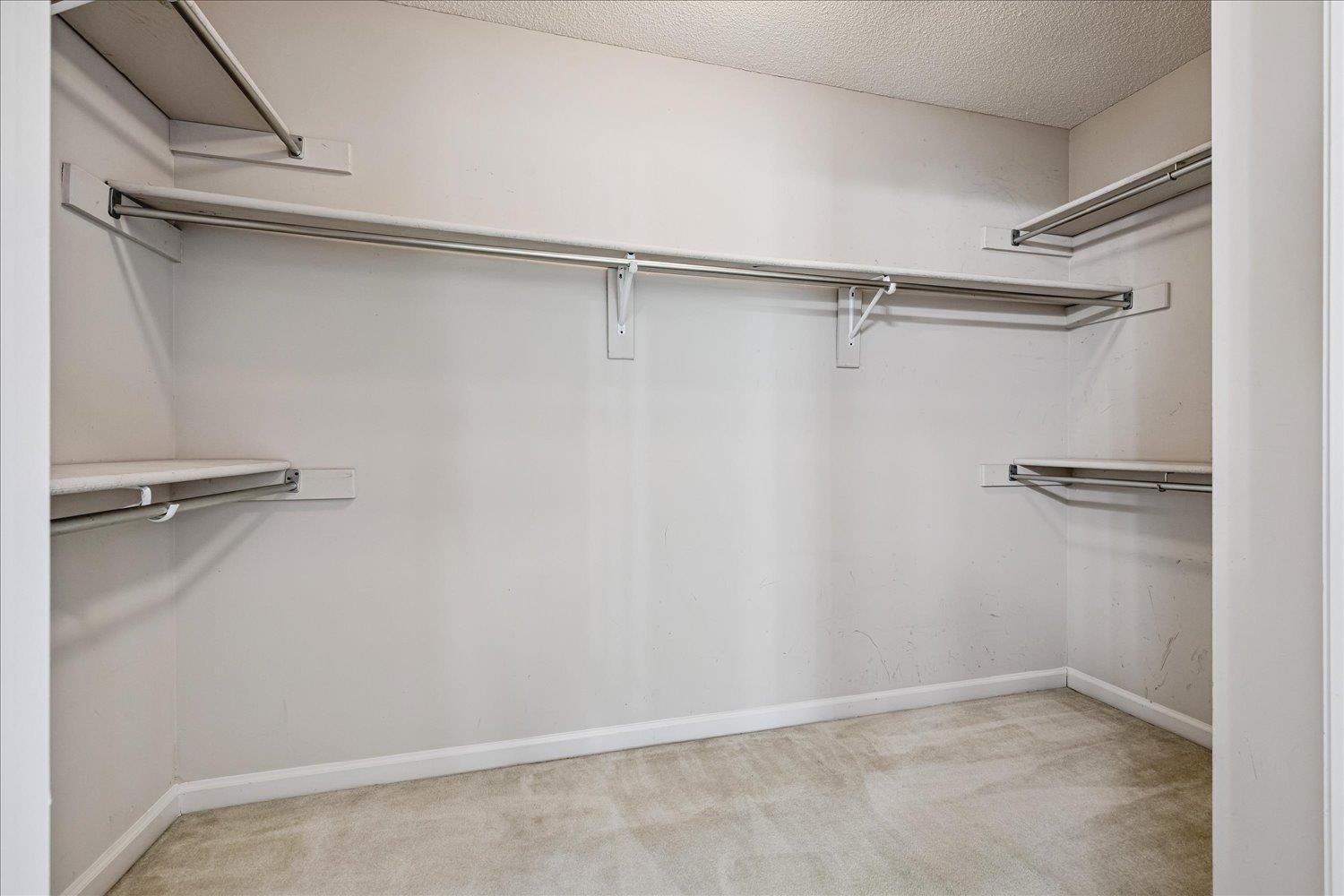 4654 Shadow Wick Lane Bartlett, TN 38002 - Photo 18 of 26 Walk-in closet featuring light-toned carpeting, white walls, multiple shelving units, and clothing rods for extensive storage