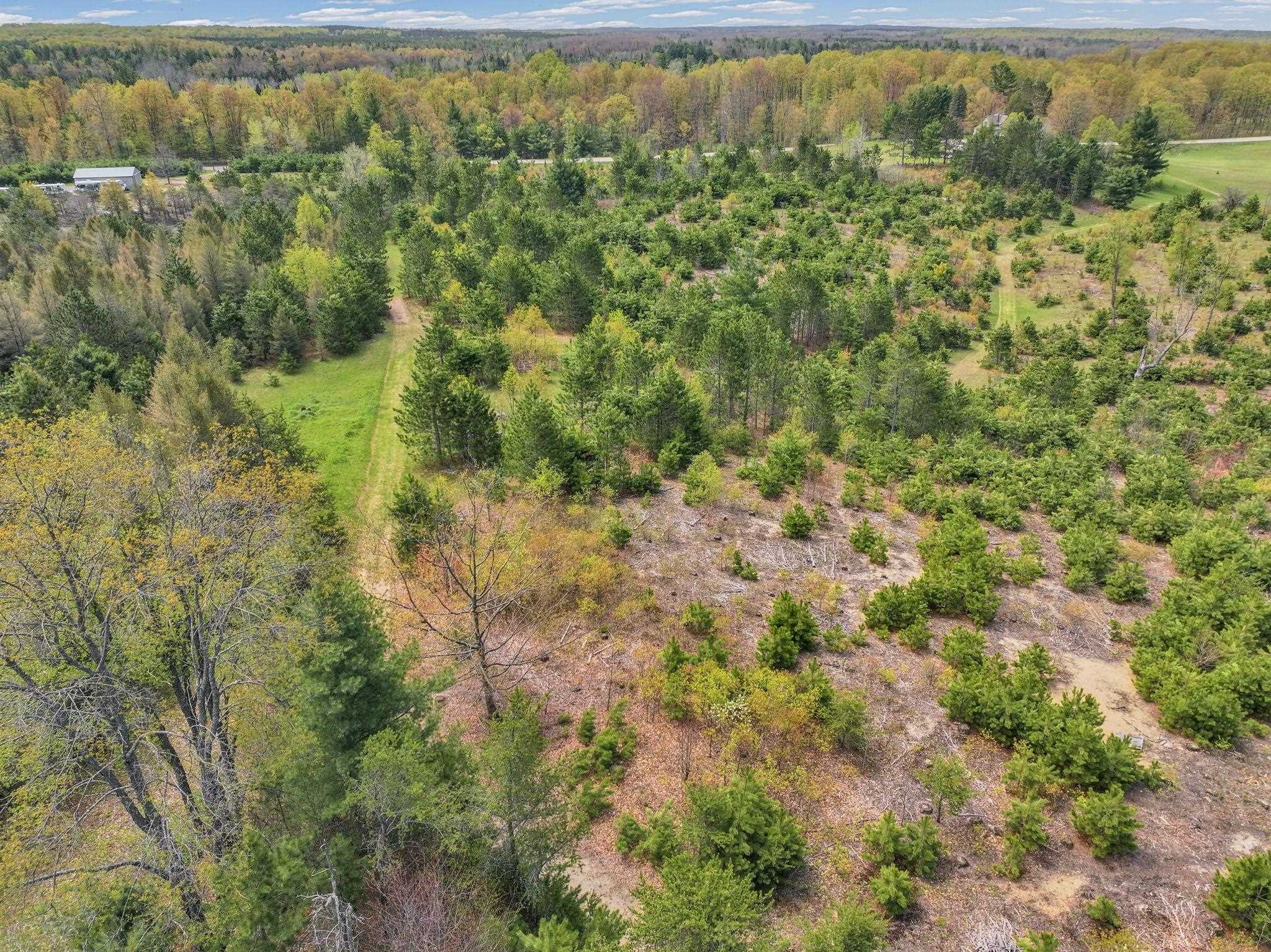 22386 16 Mile Road Leroy, MI 49655 - Photo 47 of 63
