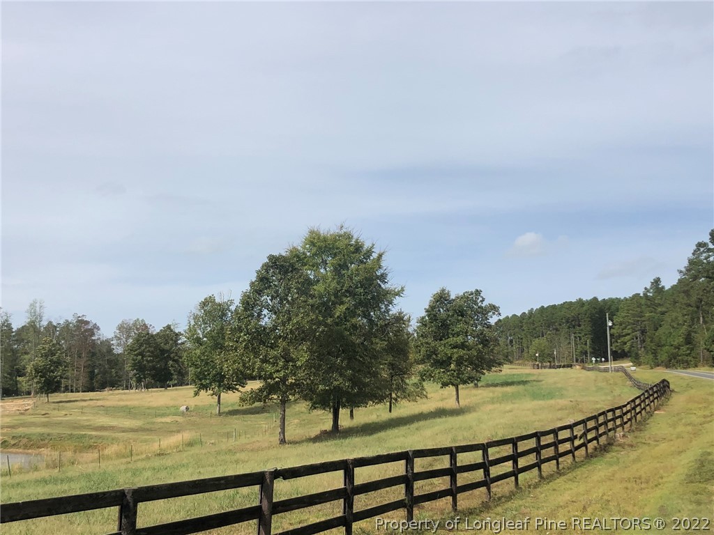 South River Road Lillington, NC 27546 - Photo 11 of 34 Gallery Image 11