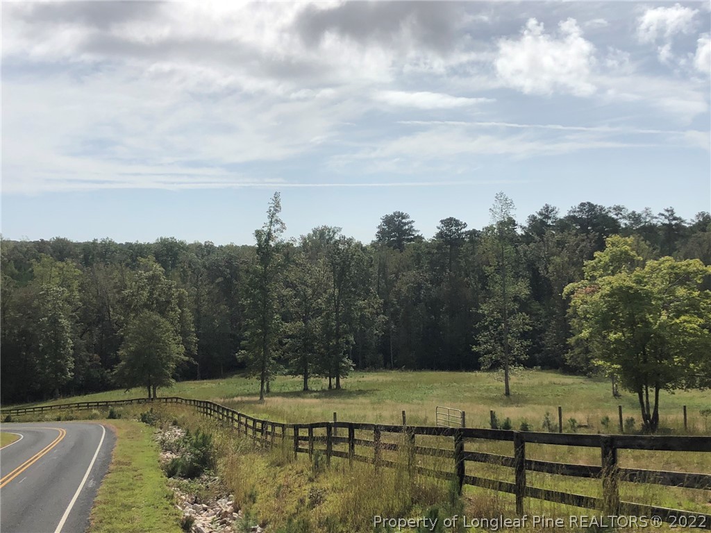 South River Road Lillington, NC 27546 - Photo 17 of 34 Gallery Image 17