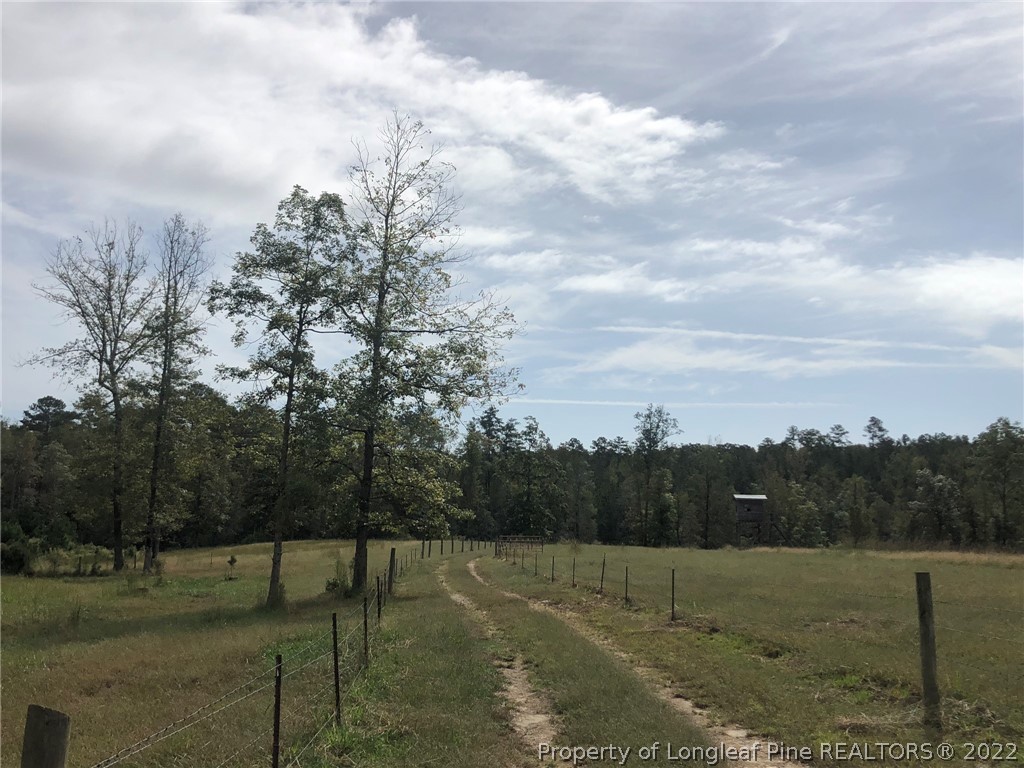 South River Road Lillington, NC 27546 - Photo 27 of 34 Gallery Image 27