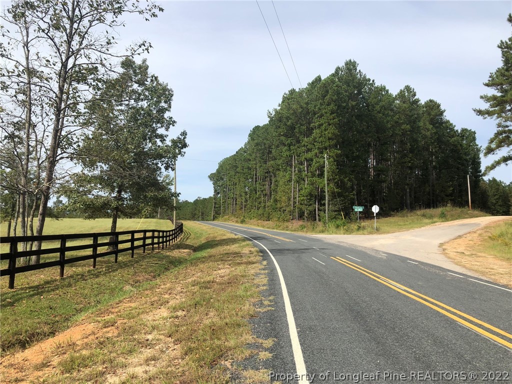 South River Road Lillington, NC 27546 - Photo 3 of 34 Gallery Image 3