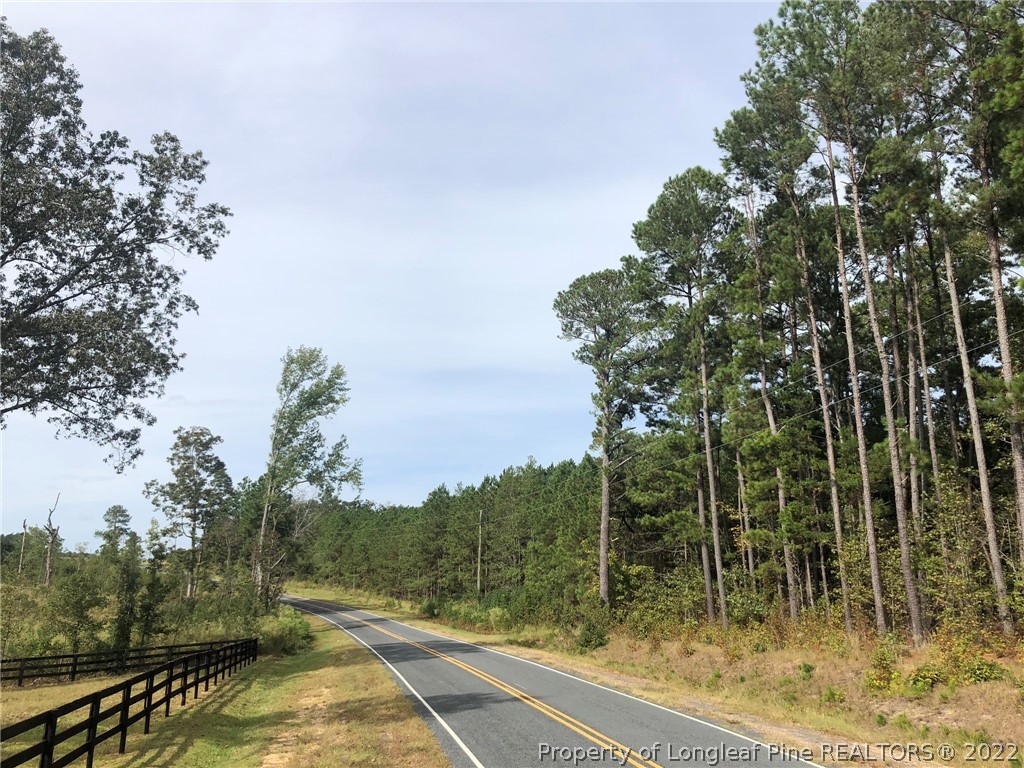 South River Road Lillington, NC 27546 - Photo 4 of 34 Gallery Image 4