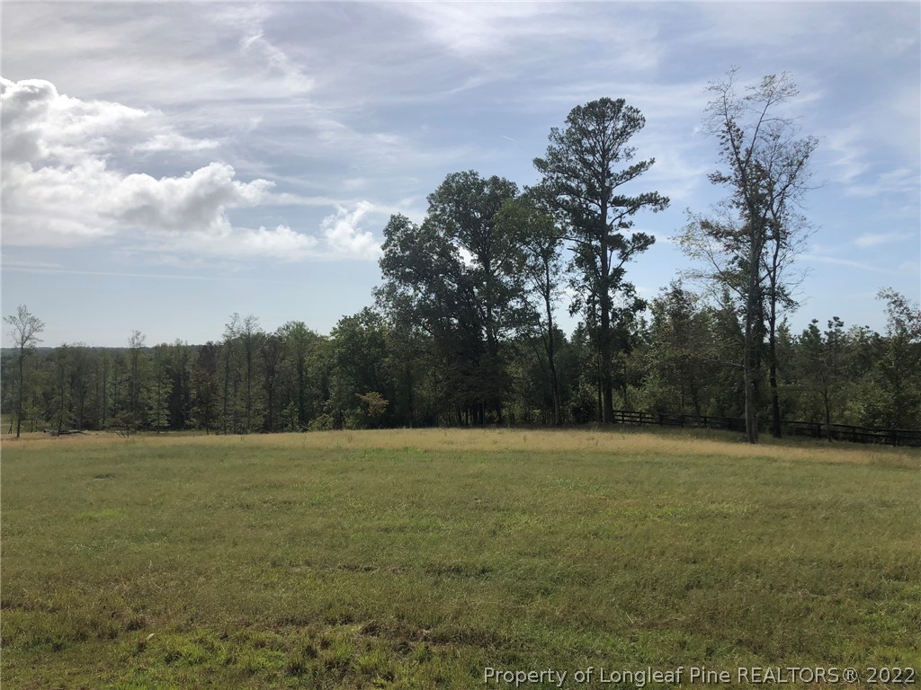 South River Road Lillington, NC 27546 - Photo 5 of 34 Gallery Image 5