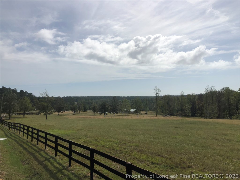 South River Road Lillington, NC 27546 - Photo 6 of 34 Gallery Image 6