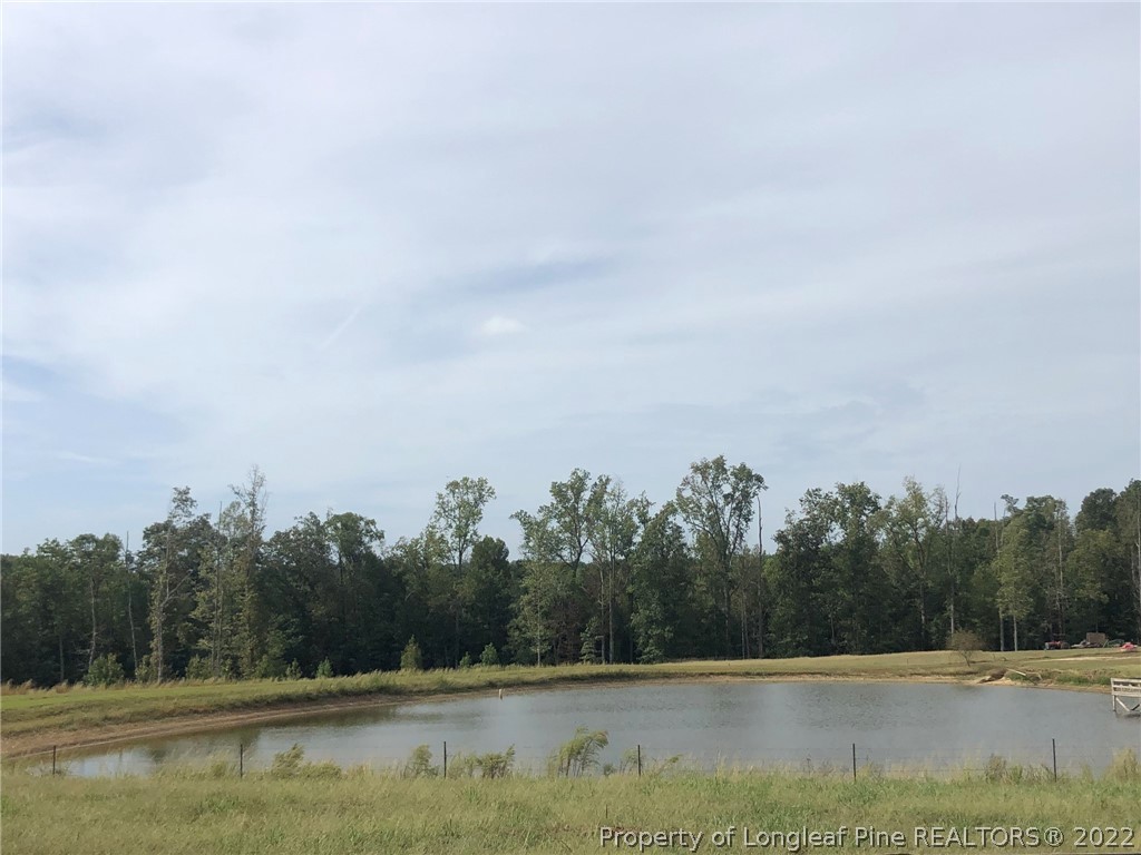 South River Road Lillington, NC 27546 - Photo 8 of 34 Gallery Image 8