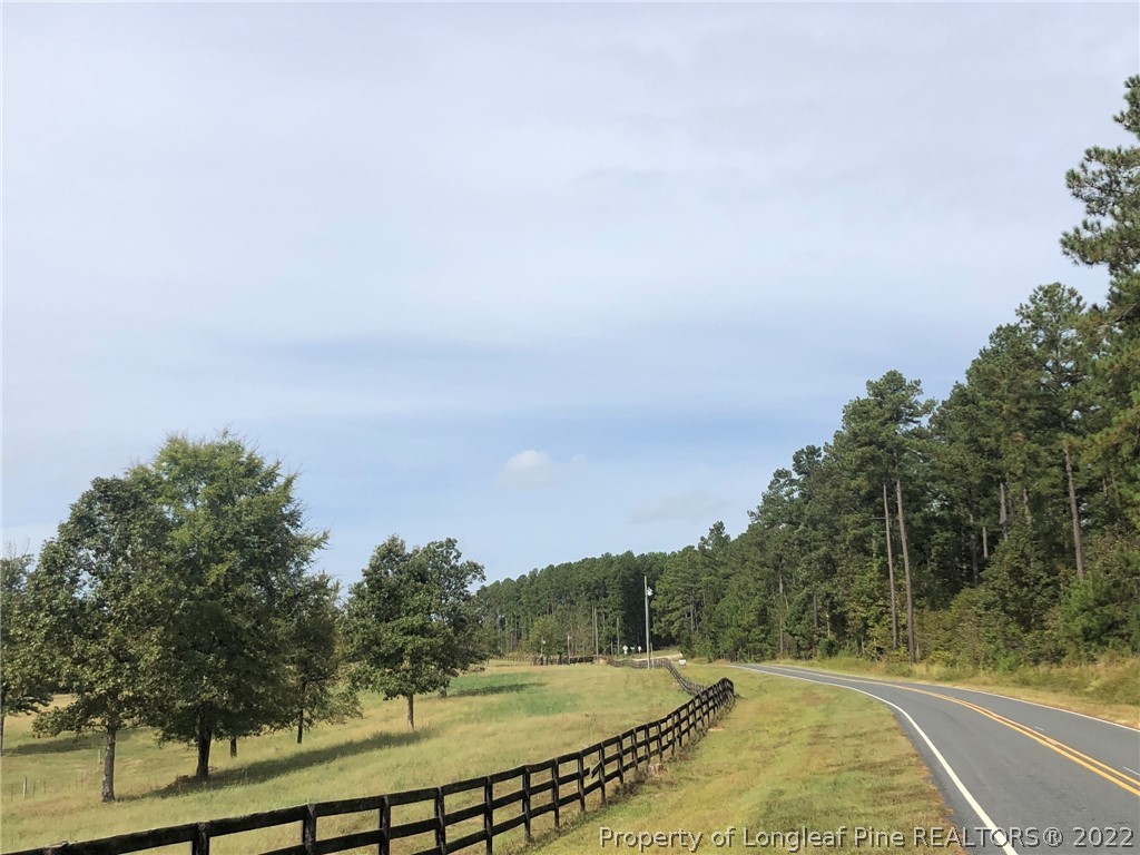 South River Road Lillington, NC 27546 - Photo 9 of 34 Gallery Image 9