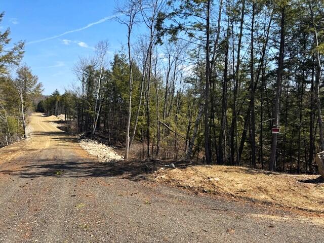 Lot 14 Milk Road Alfred, ME 04002 - Photo 18 of 22