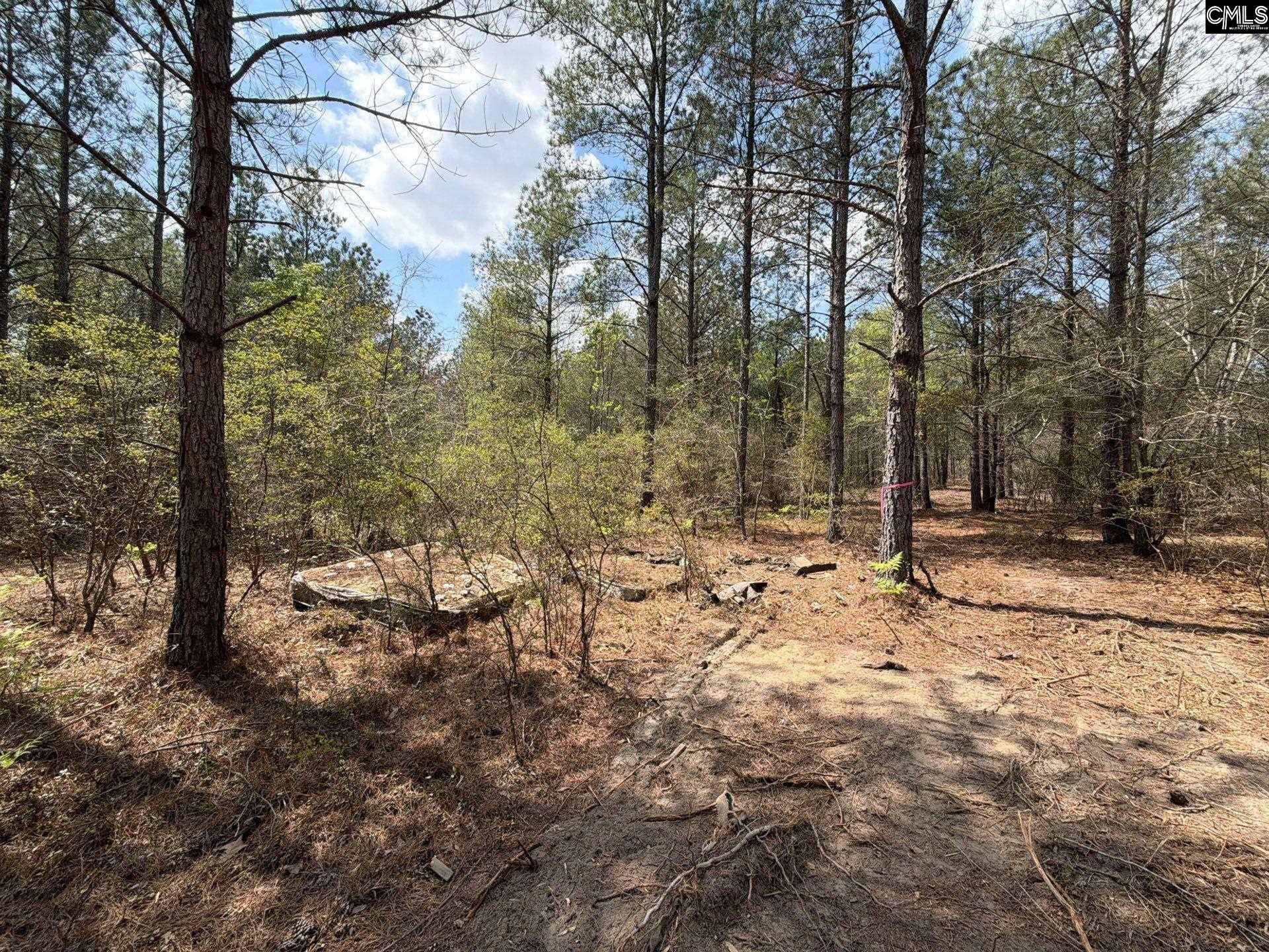 4 Mt Calvary Rd Ridge Spring Ridge Spring, SC 29129 - Photo 4 of 40