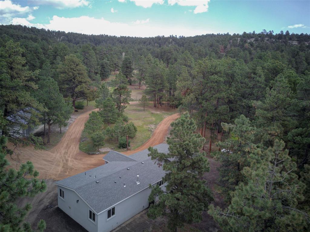 18823 Smokey Pine Road Peyton, CO 80831 - Photo 48 of 50