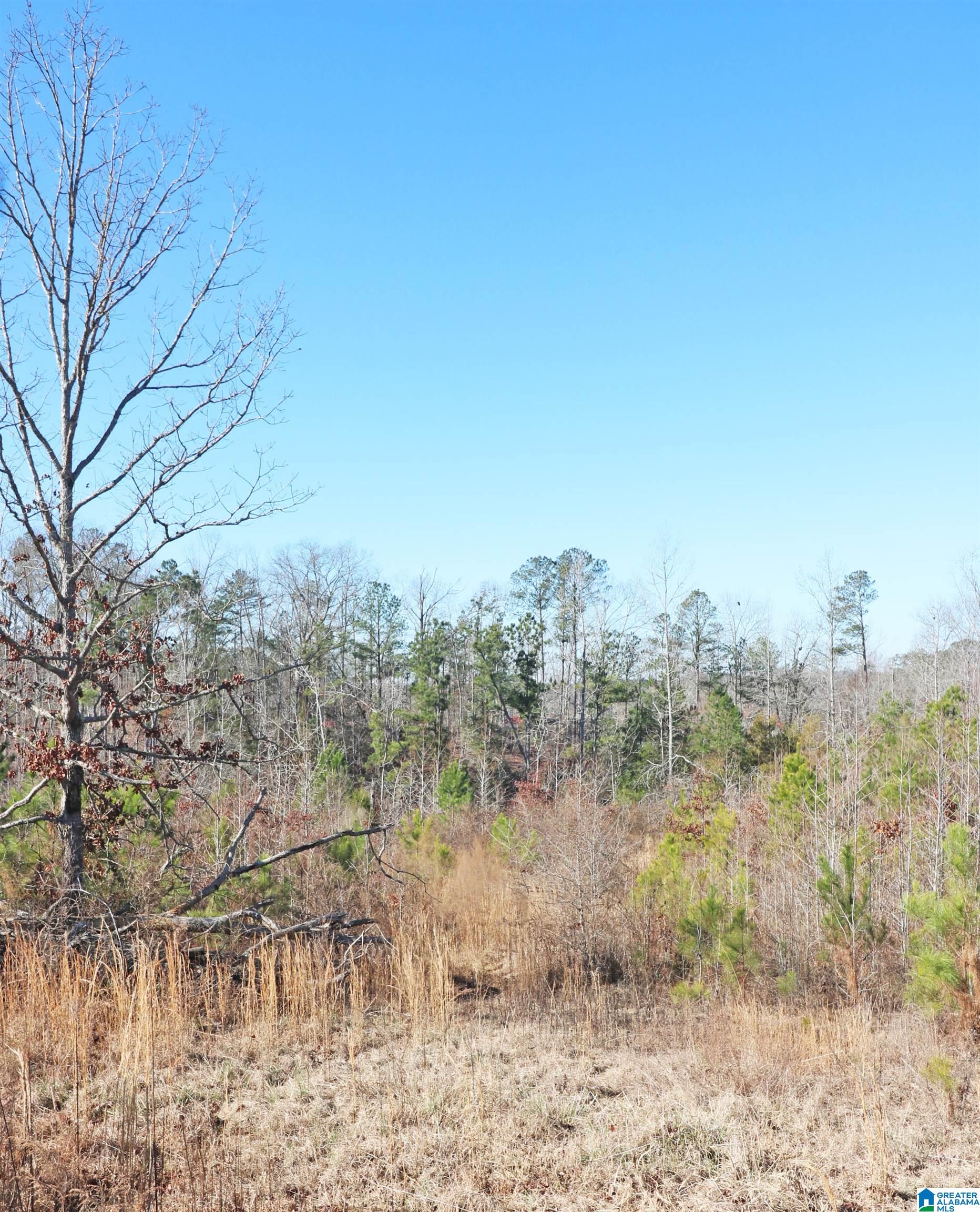 400 3 Cedars Road Ohatchee, AL 36271 - Photo 38 of 44