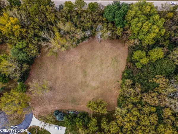 a view of a yard with a tree