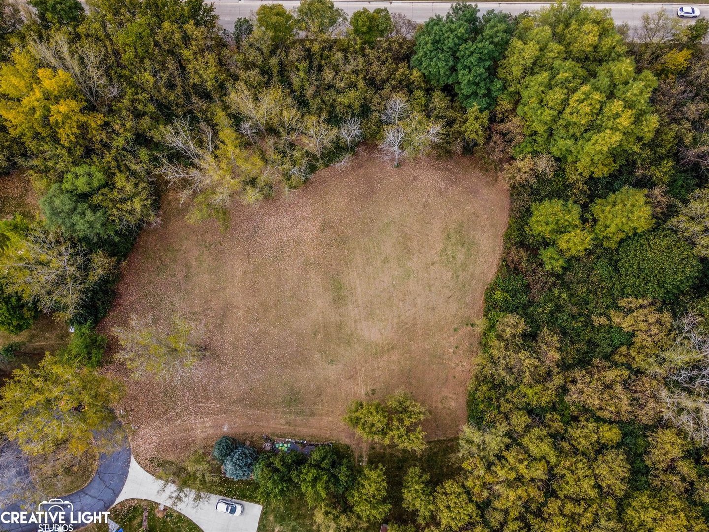 a view of a yard with a tree
