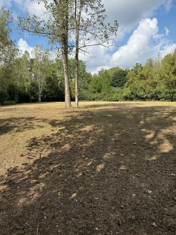 a view of an outdoor space and yard