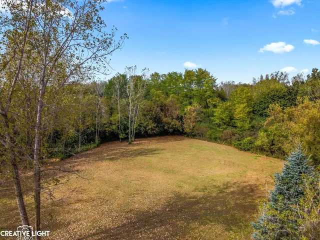 a view of a yard with an trees