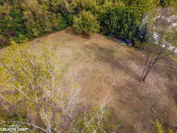 a view of a yard with a tree