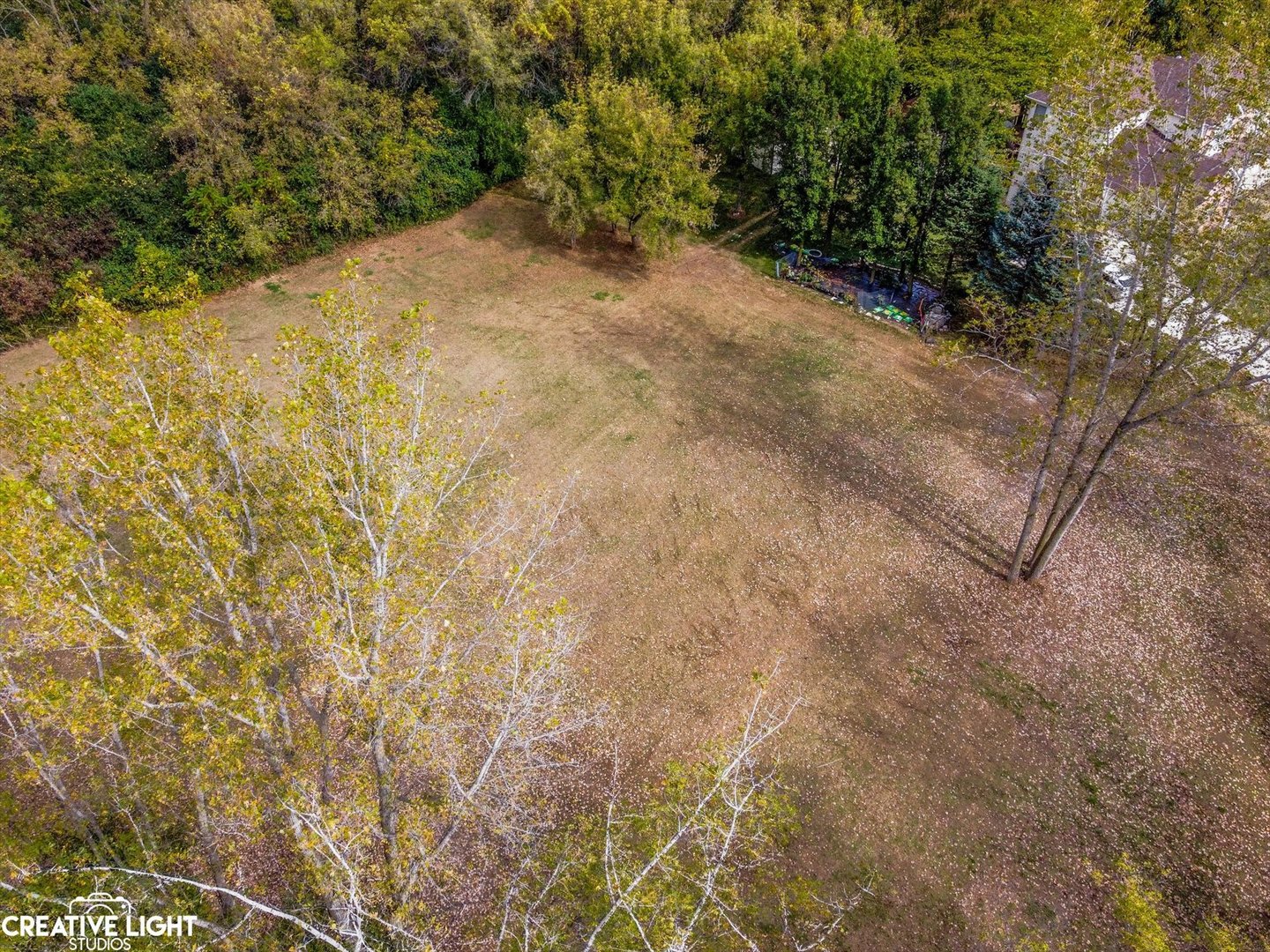 6421 Collier Circle Long Grove, IL 60047 - Photo 9 of 13 a view of a yard with a tree