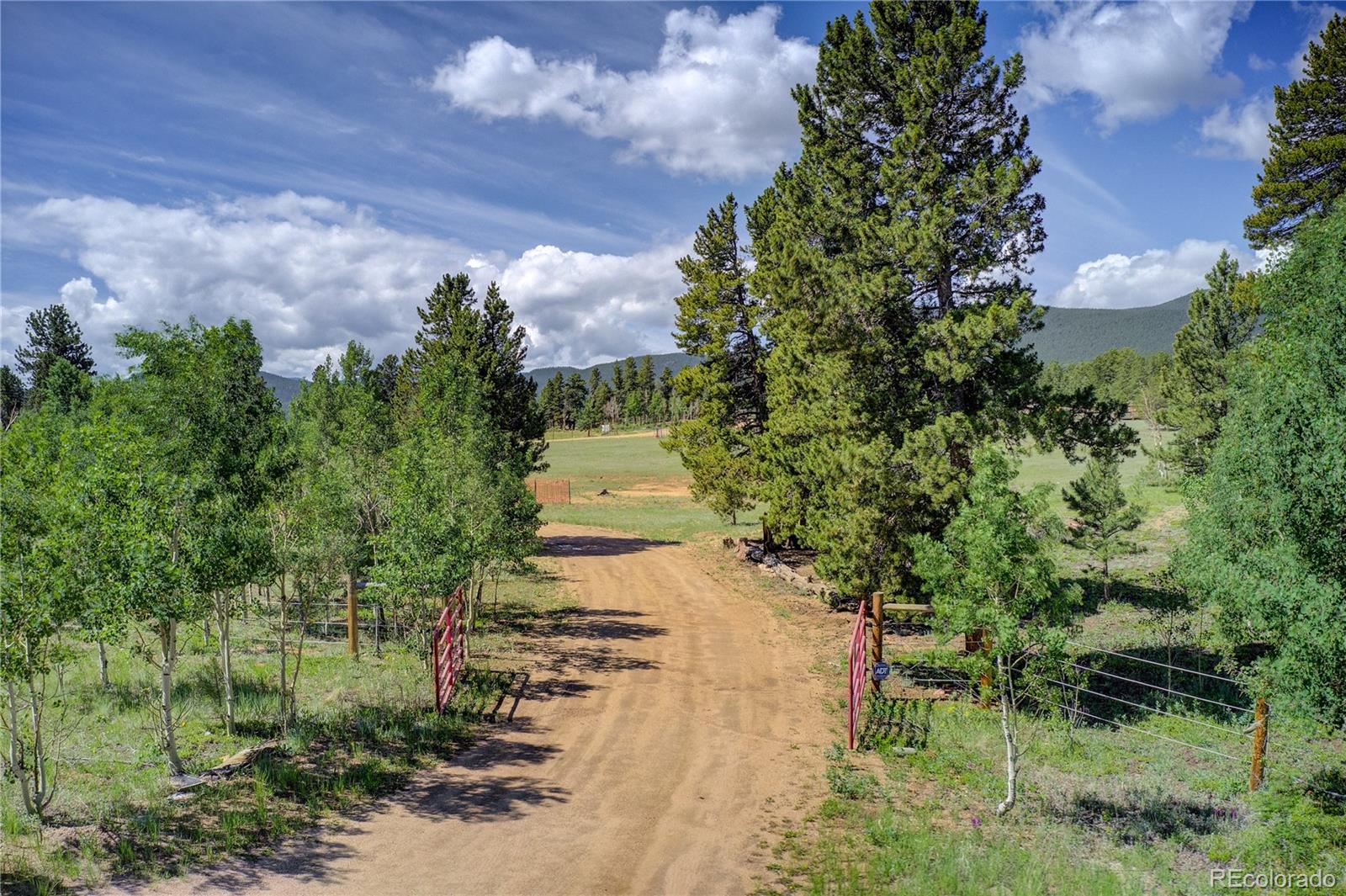 597 Clark Road Bailey, CO 80421 - Photo 2 of 35