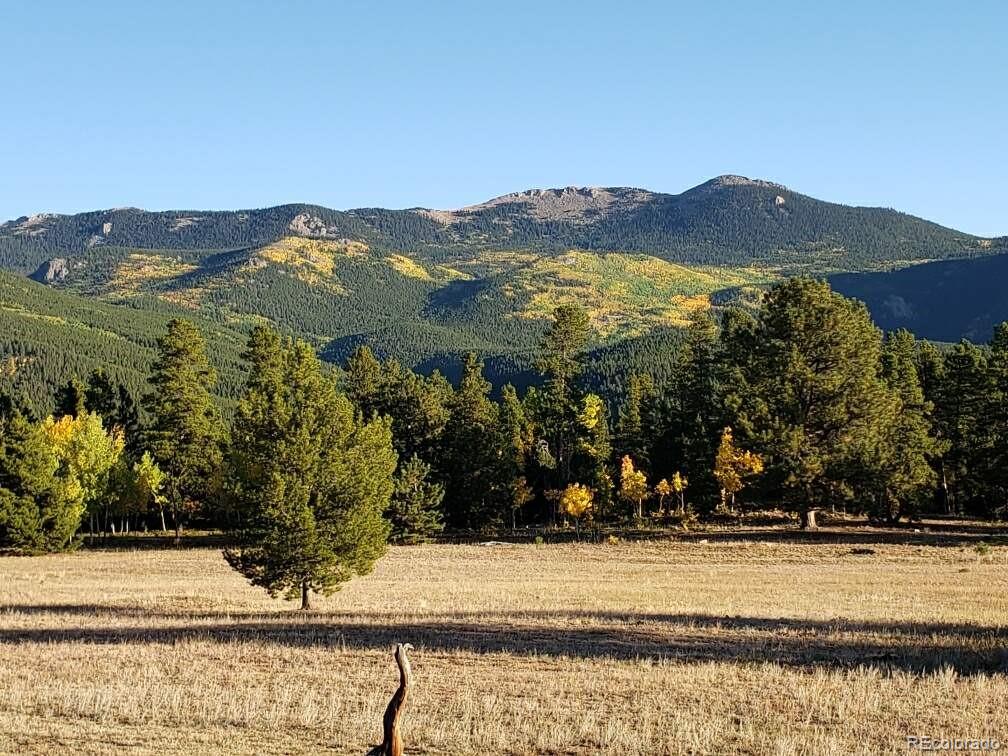 597 Clark Road Bailey, CO 80421 - Photo 33 of 35