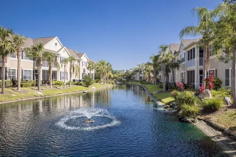 a lake view with palm trees