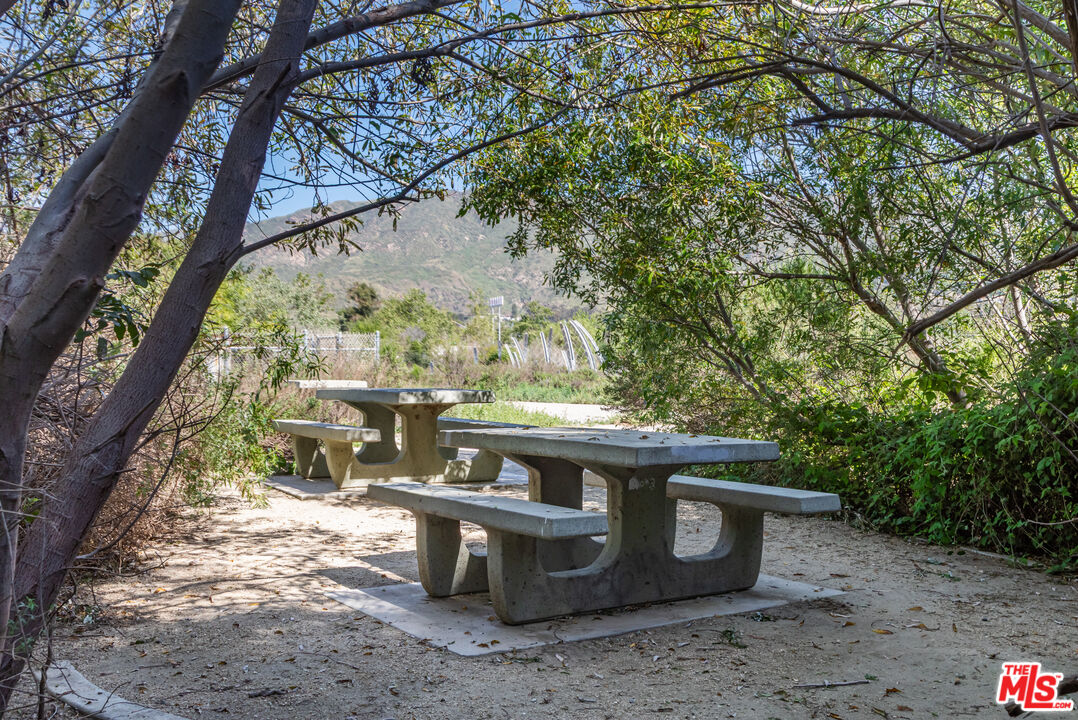 23441 Malibu Colony Road Malibu, CA 90265 - Photo 38 of 43 a view of a yard with a tree