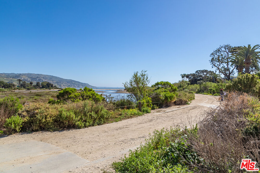 23441 Malibu Colony Road Malibu, CA 90265 - Photo 39 of 43 a view of a pathway both side of grassy field with trees