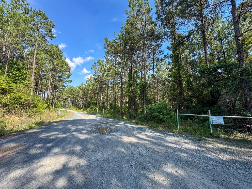 0 Sam Booker Road Mansfield, LA 71052 - Photo 4 of 9