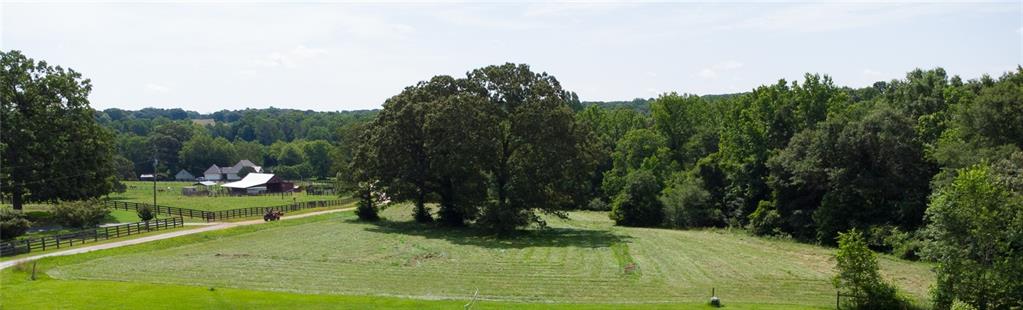 a view of a garden with a bench in the background