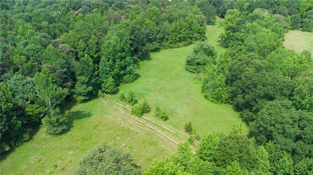 482 Hooper Road Commerce, GA 30530 - Photo 9 of 12 a view of a lush green forest with lots of trees