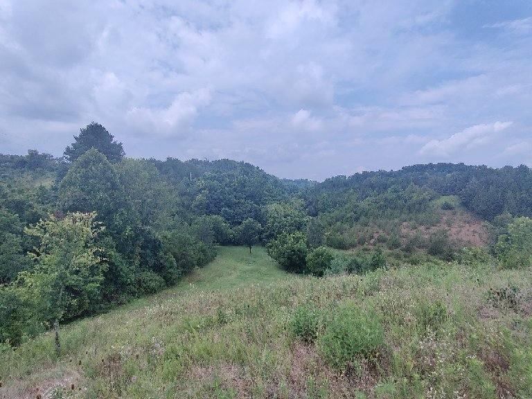 1095 Rhodes Road Bybee, TN 37713 - Photo 11 of 13 image000007