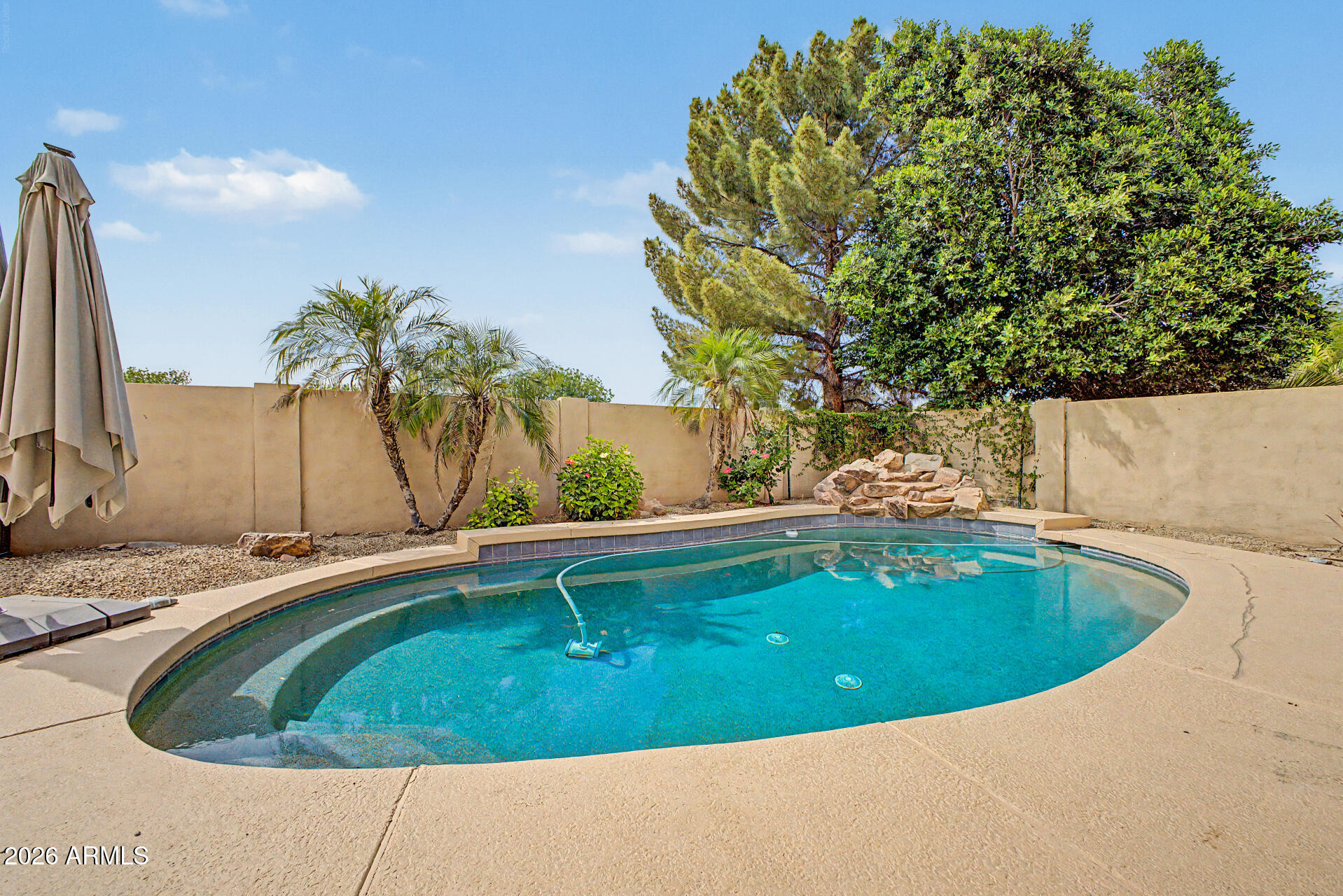 1306 East Erie Street Gilbert, AZ 85295 - Photo 51 of 62 a view of a swimming pool with a yard and plants