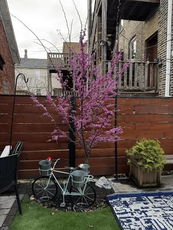 $3,000 | 2143 West 18th Place, Chicago, IL 60608