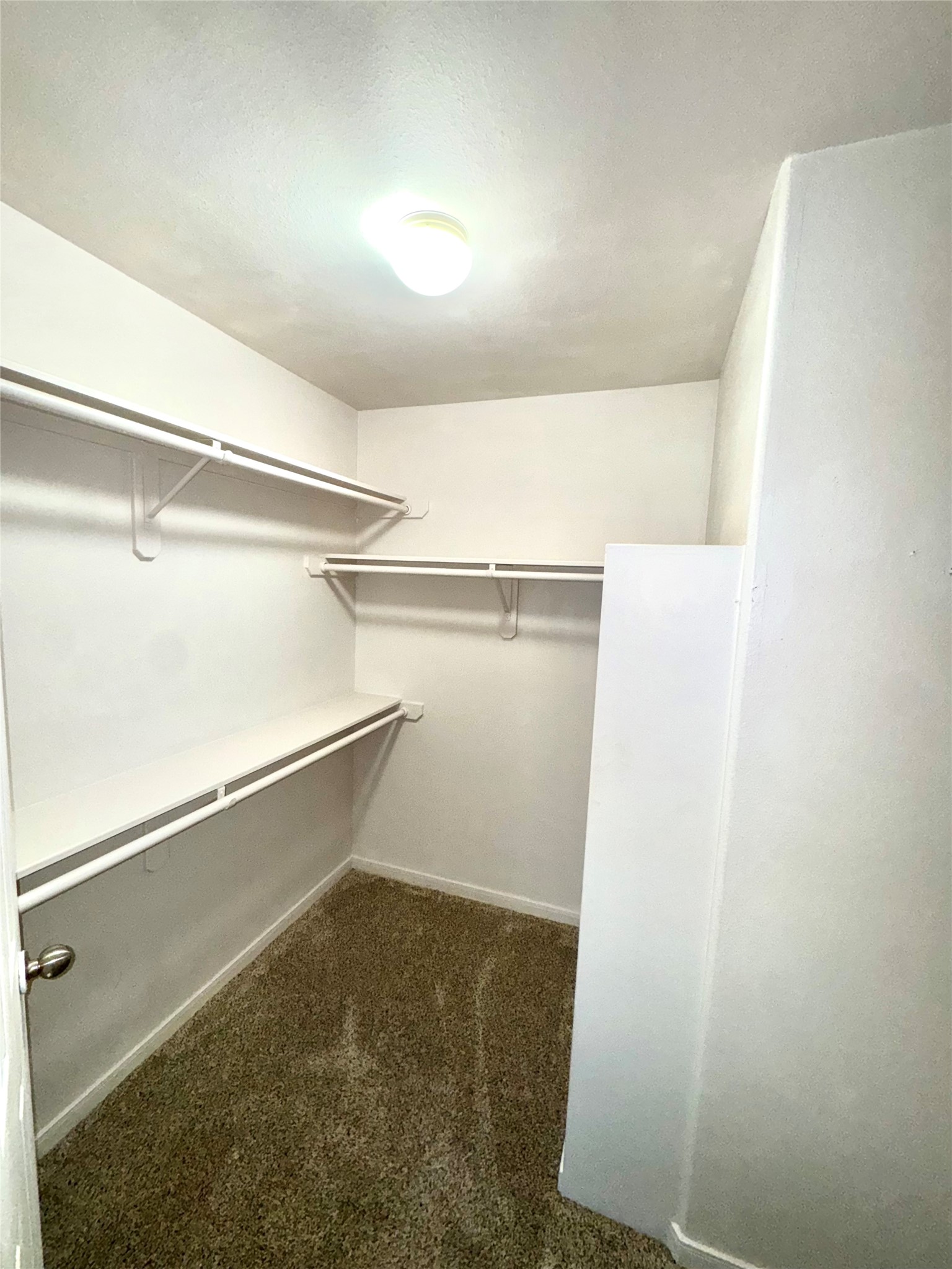 15931 Winston Point Lane Houston, TX 77084 - Photo 13 of 15 a close view of closet
