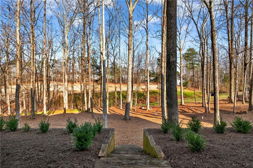 14335 Morning Mountain Way Milton, GA 30004 - Photo 45 of 62