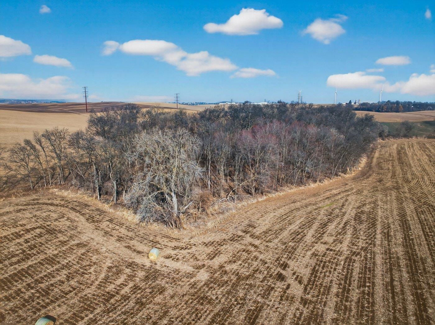 19.85-acres 19.85-acres Riles Middleton, WI 53562 - Photo 12 of 28