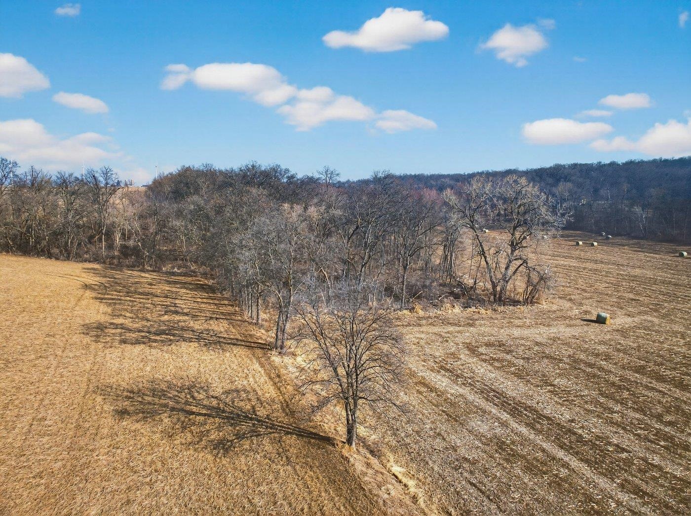 19.85-acres 19.85-acres Riles Middleton, WI 53562 - Photo 13 of 28
