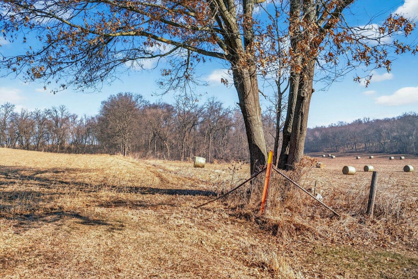 19.85-acres 19.85-acres Riles Middleton, WI 53562 - Photo 16 of 28